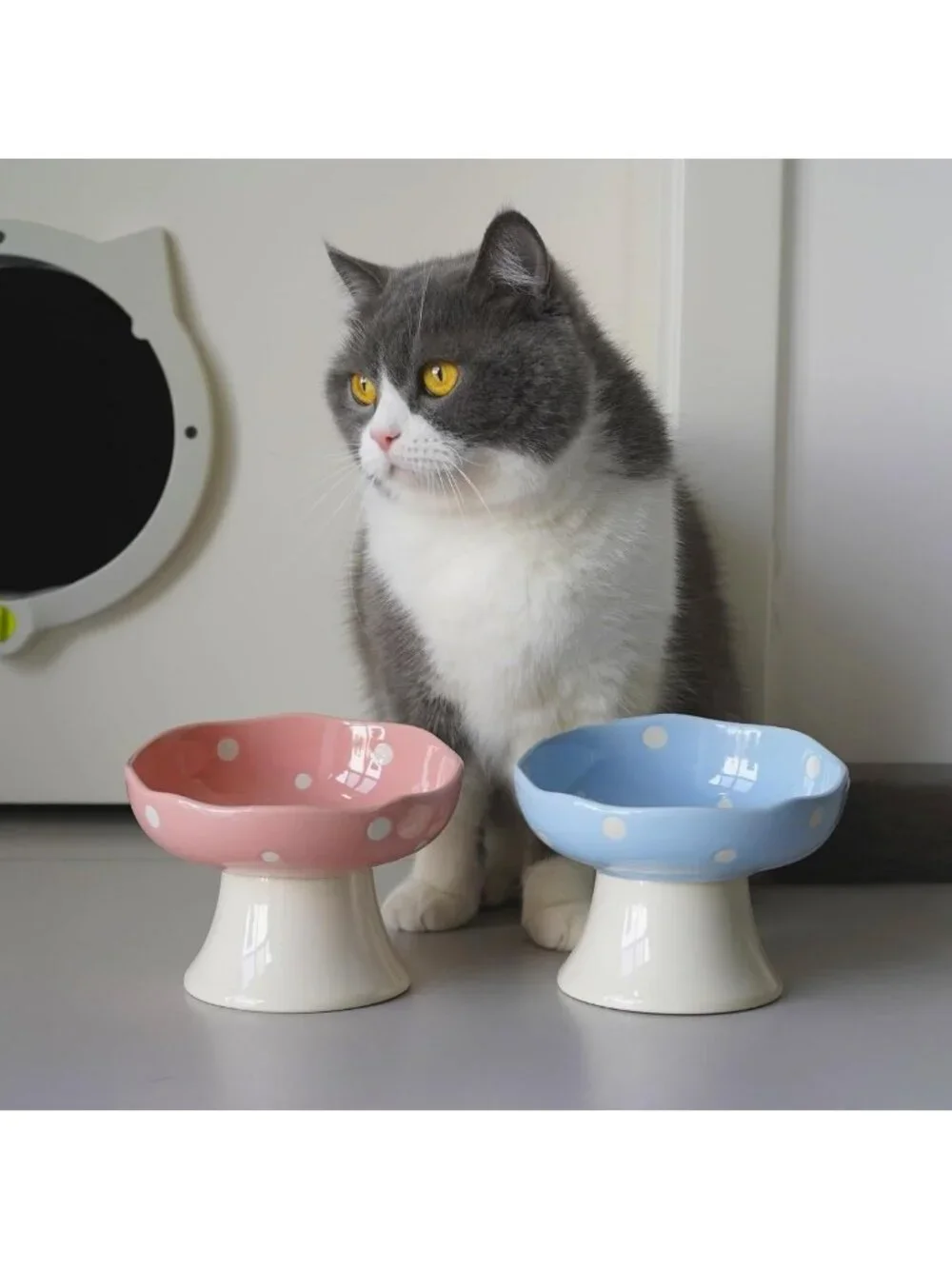 Elevated Ceramic Cat Bowl Set - 2PCS Pink & Blue Mushroom Design, Stylish
